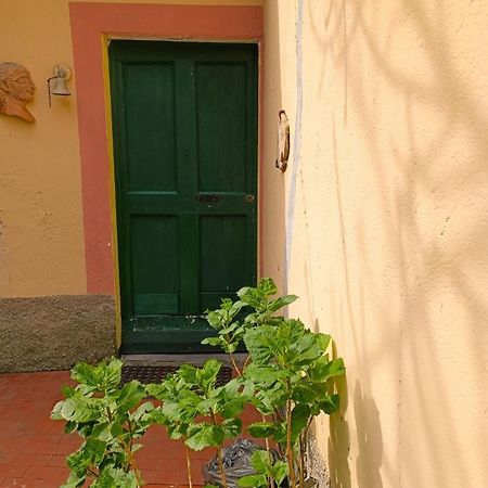 Willa Norina'S House Monterosso al Mare Zewnętrze zdjęcie