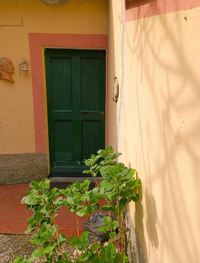 Willa Norina'S House Monterosso al Mare Zewnętrze zdjęcie